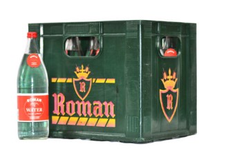 ROMAN BRUIS 1/1 (12)