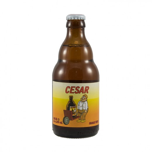 CESAR 1/3