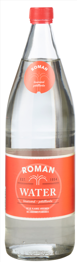 ROMAN BRUIS 1/1