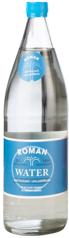 ROMAN PLAT 1/1