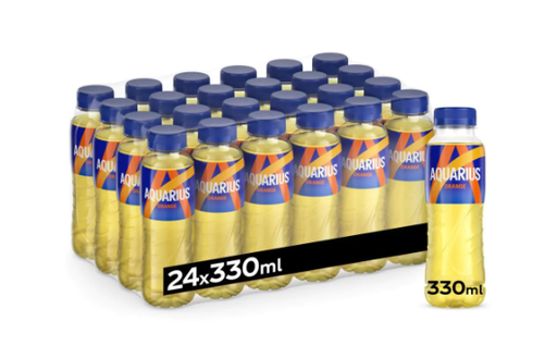 [25073] AQUARIUS 0.33 ORANGE (24) PET